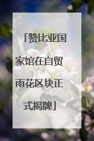 赞比亚国家馆在自贸雨花区块正式揭牌